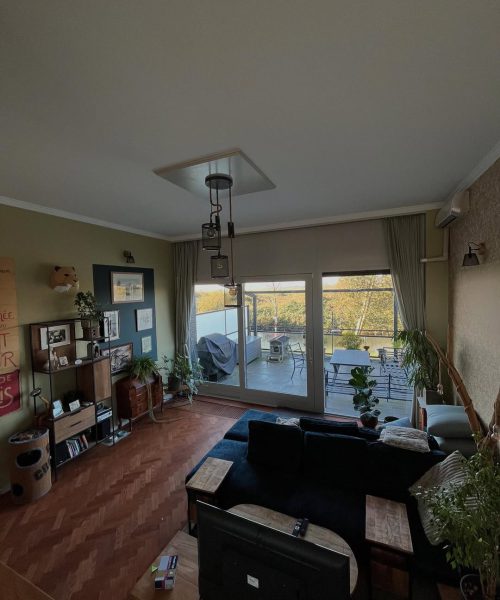 phosphor.utils.elfsightcdn.com7